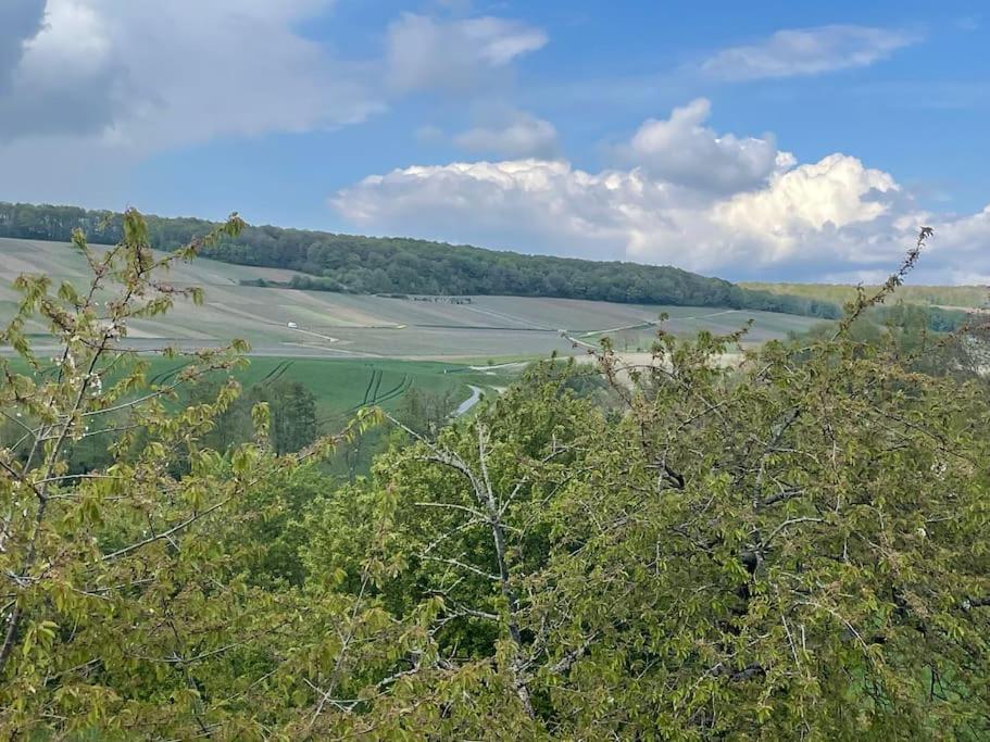 Maison D'Hotes Baslieux-sous-Chatillon Zewnętrze zdjęcie